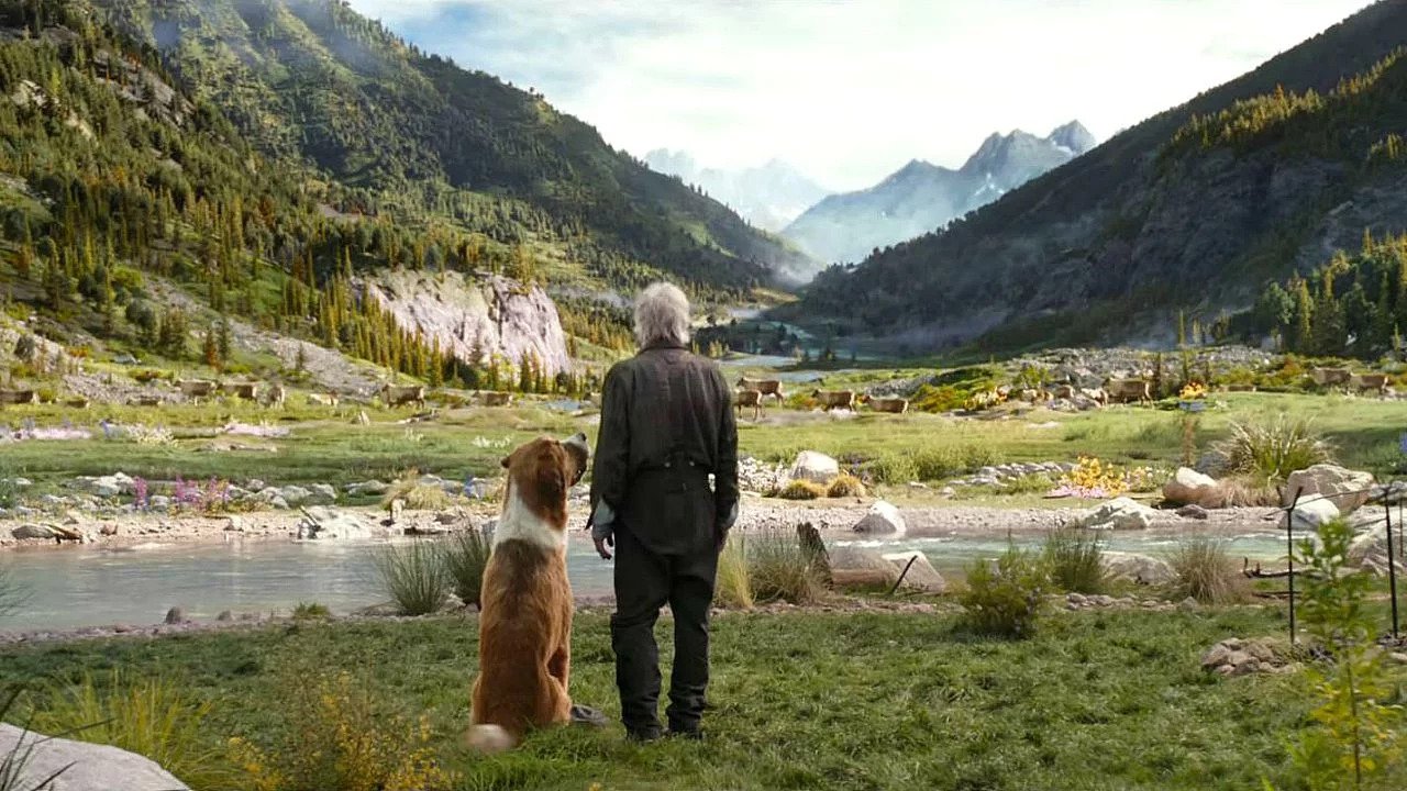 Il richiamo della foresta