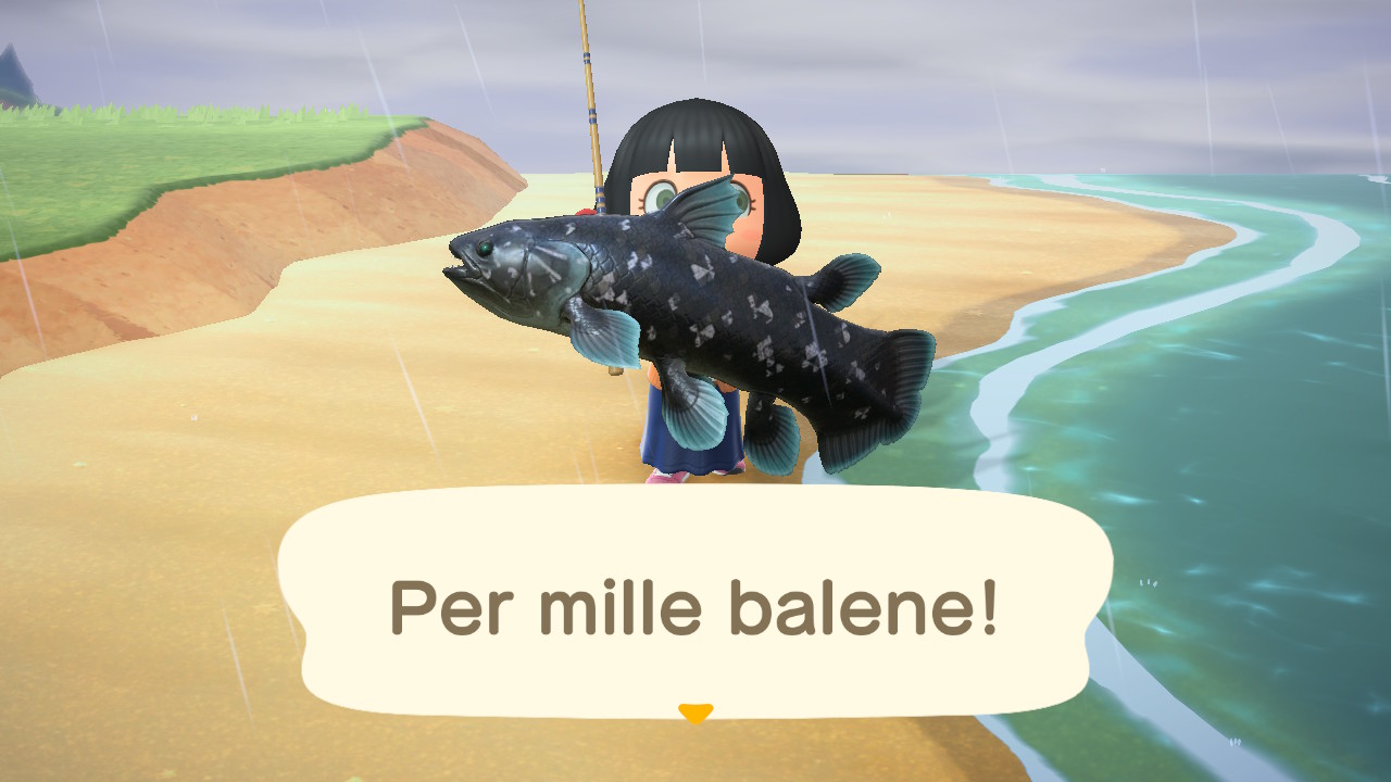 Animal Crossings: New Horizons celacanto