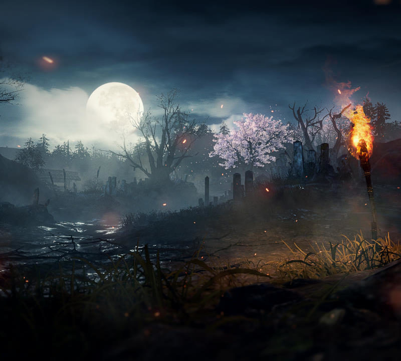 Nioh 2