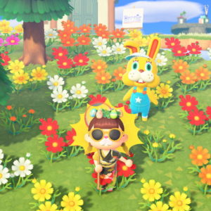 Animal Crossing New Horizons