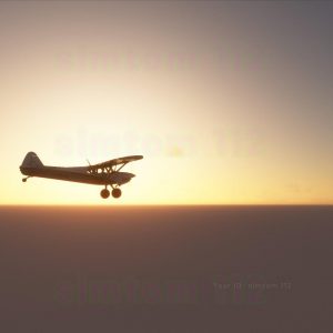 Microsoft Flight Simulator