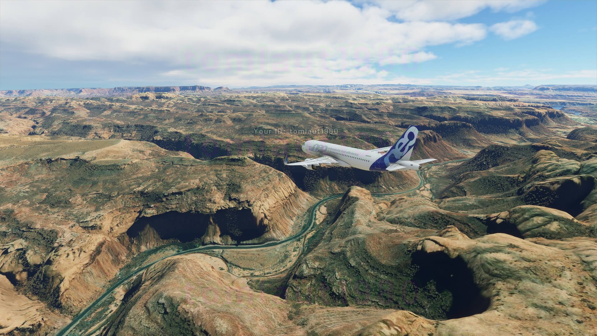 Microsoft Flight Simulator