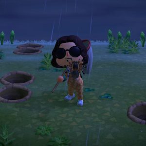 Animal Crossing New Horizons