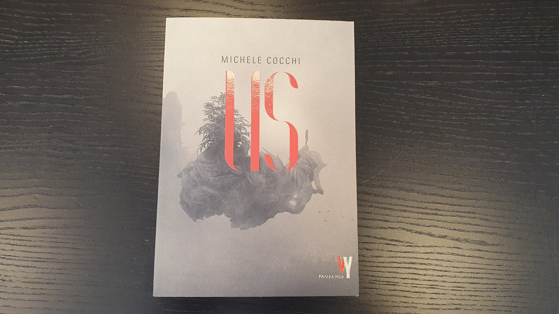 Us Michele Cocchi Fandango Libri