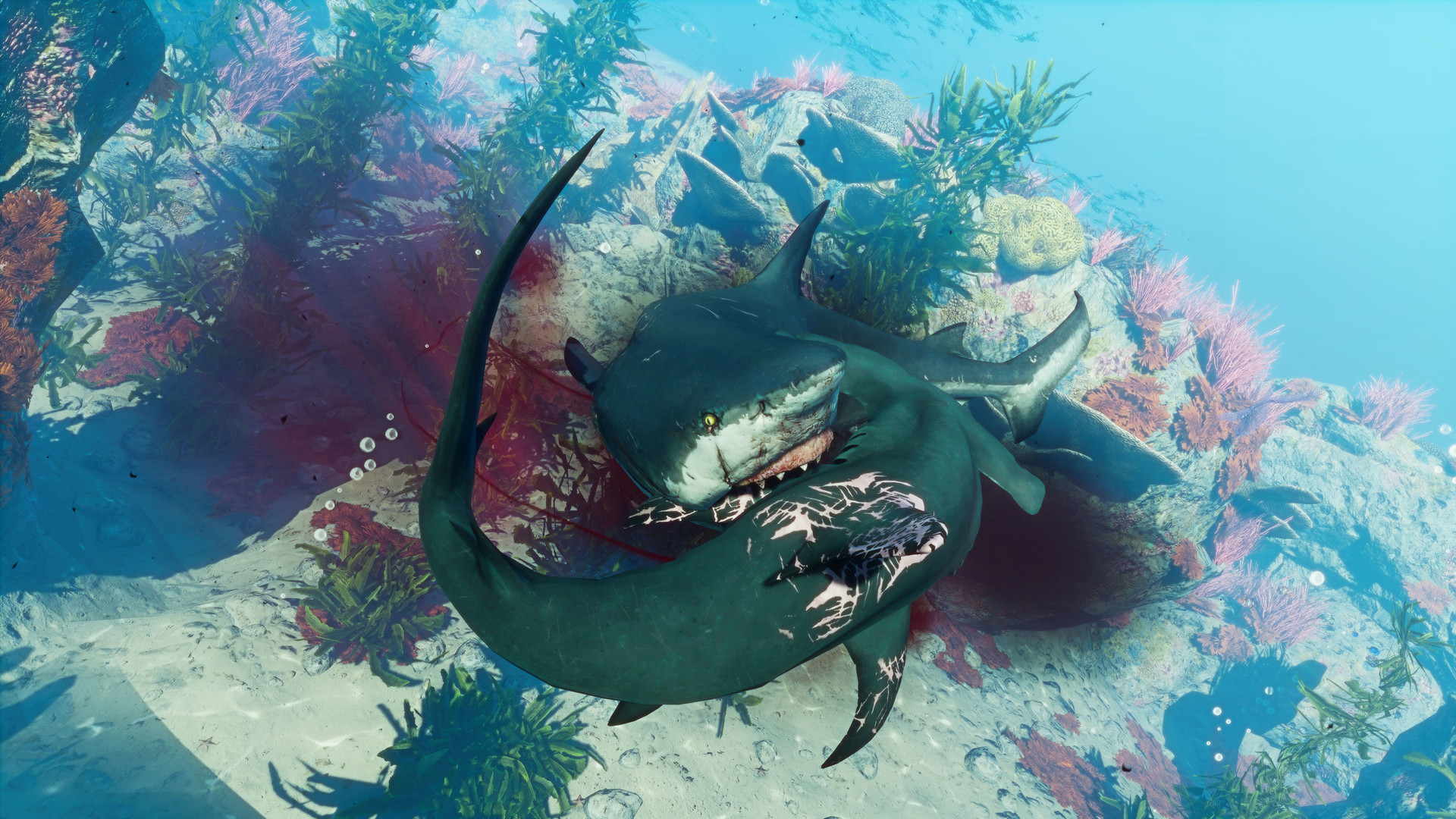 boss battle