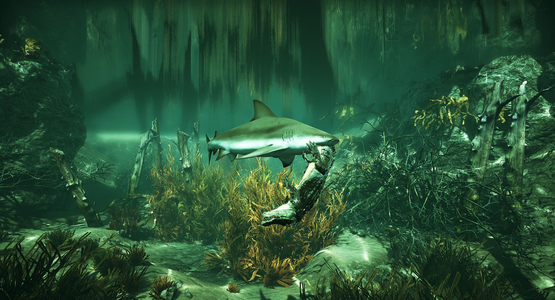 fauna marina maneater
