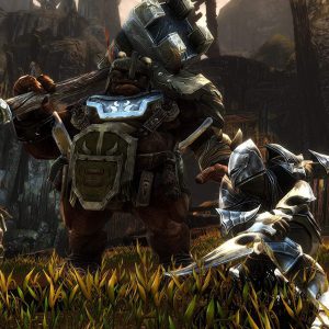 Kingdoms of Amalur