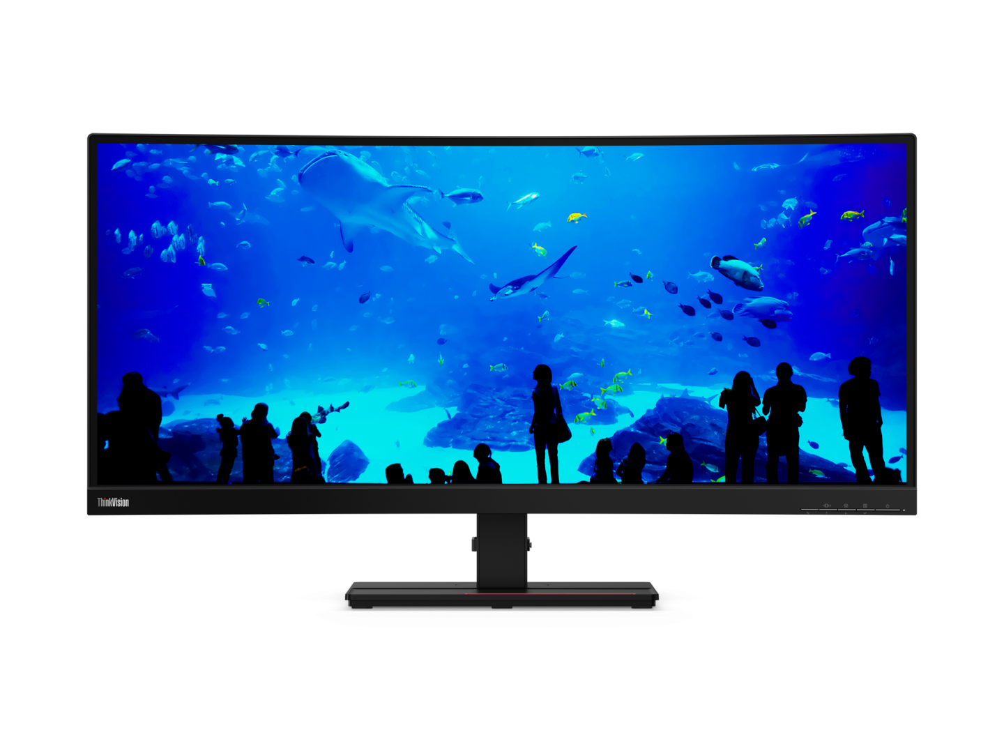 Lenovo ThinkView Monitor