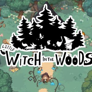 Little Witch in the Woods