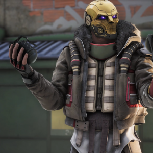 Rogue Company