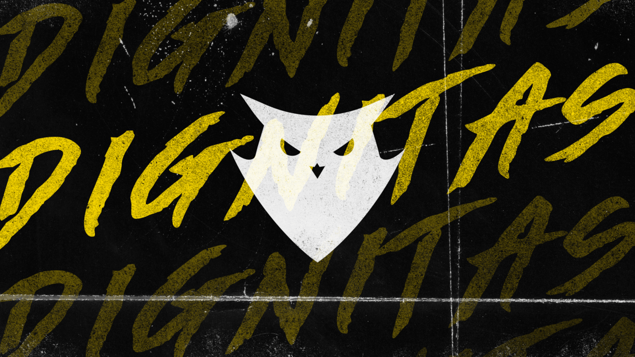 Team Dignitas