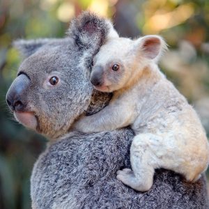 Escape from Extinction - Helen Mirren