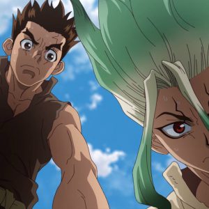 Dr. Stone