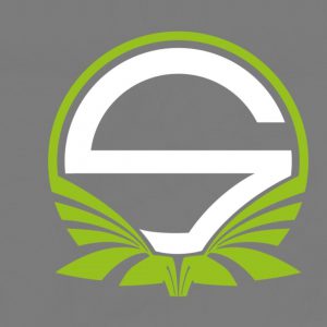 Team Singularity