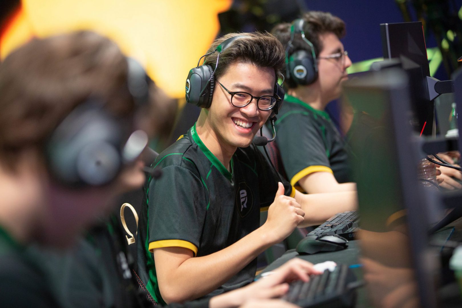 WildTurtle