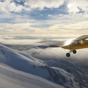 Microsoft Flight Simulator