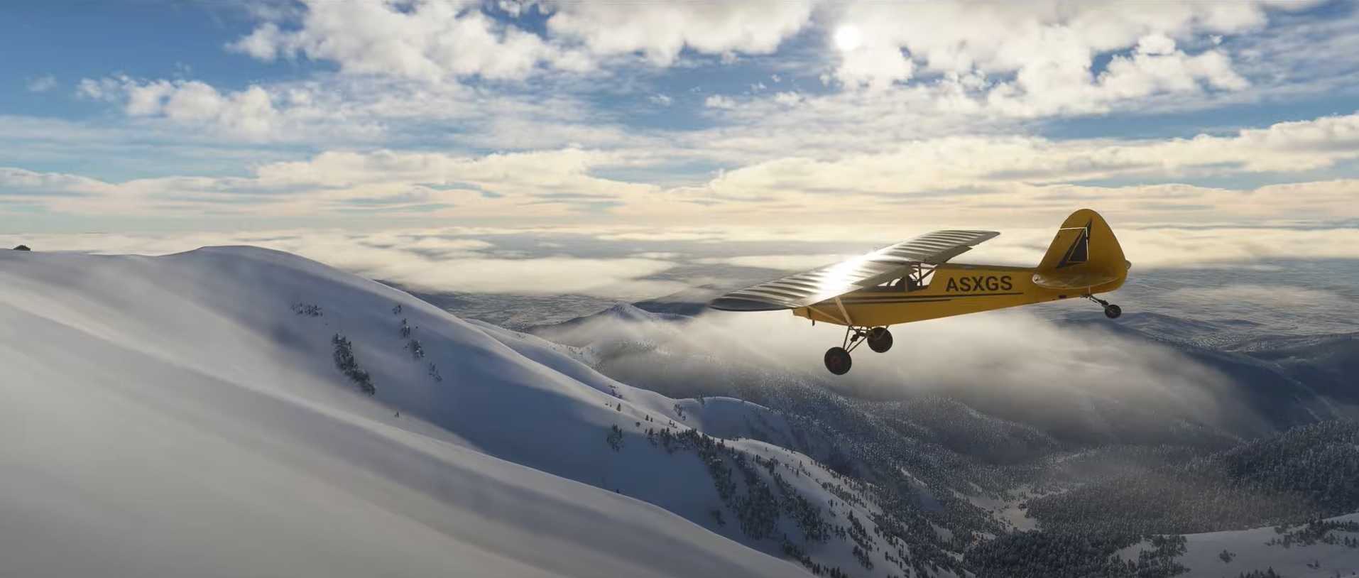 Microsoft Flight Simulator