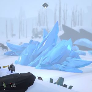 Project Winter