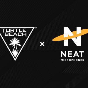 Turtle Beach