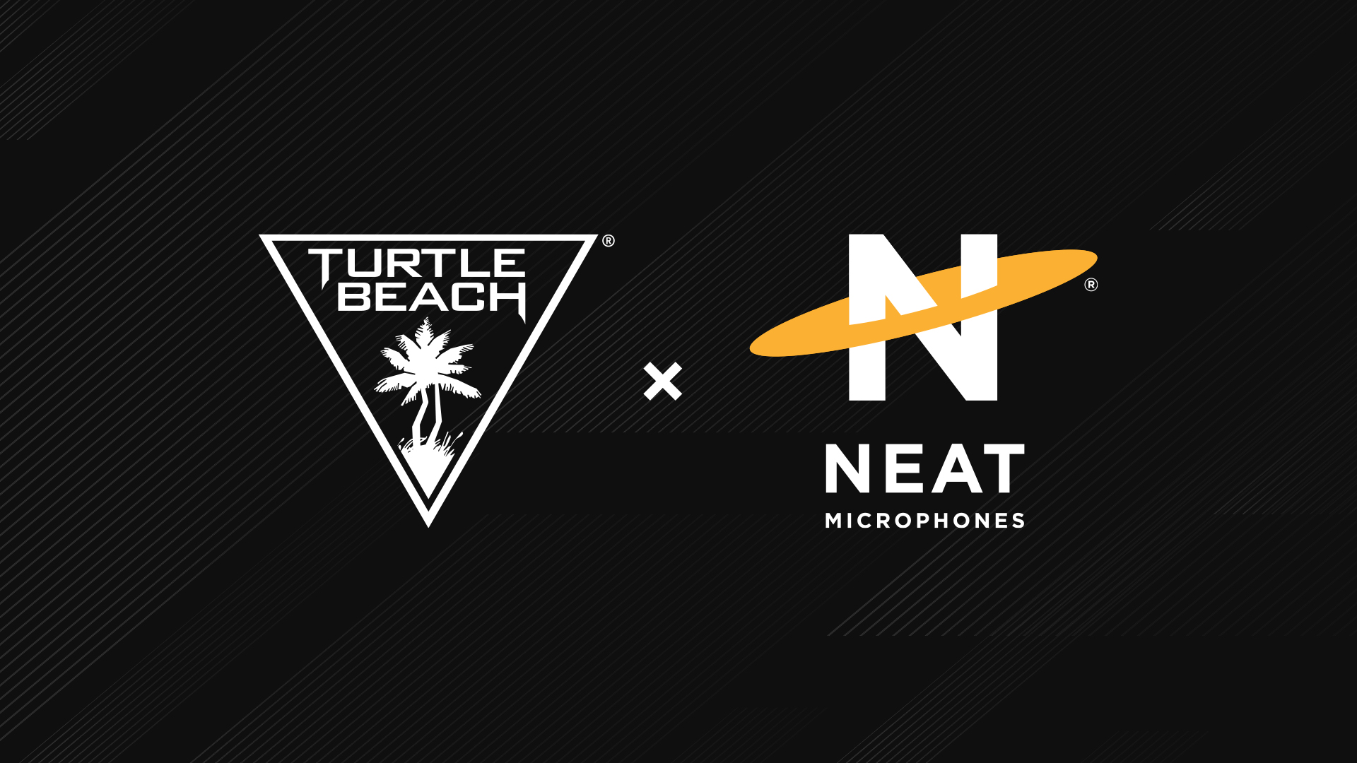 Turtle Beach