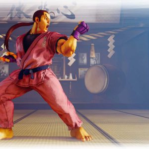 Street Fighter V CE - Dan Character Art