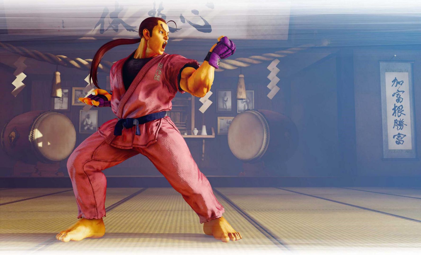 Street Fighter V CE - Dan Character Art