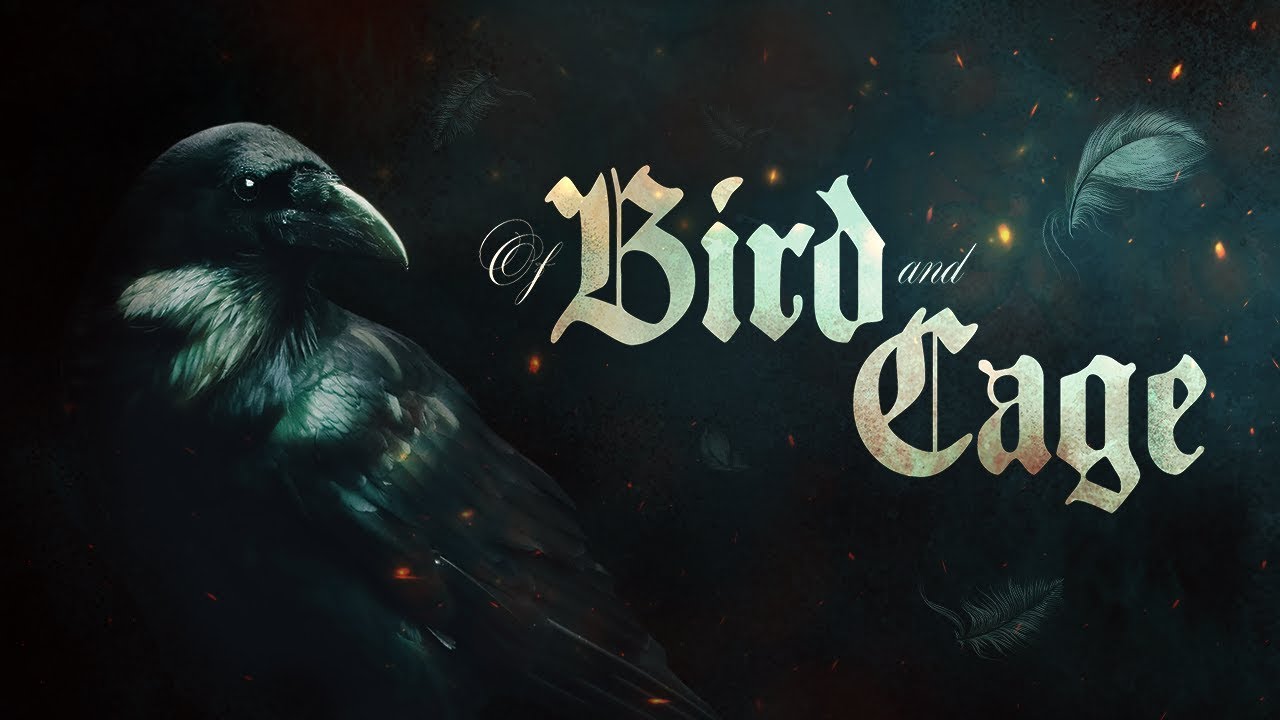 of bird and cage