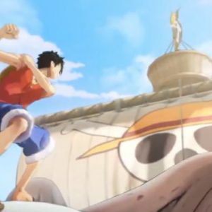Project Fighter; One Piece