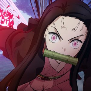 Demon Slayer The Hinomaki Chronicles