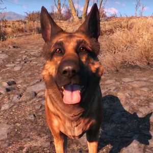 Fallout 4 Dogmeat