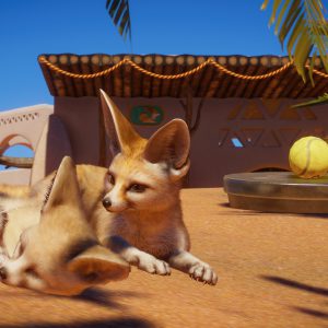 Planet Zoo