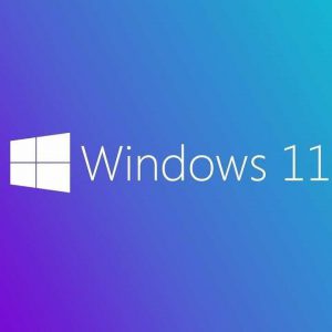 Windows 11