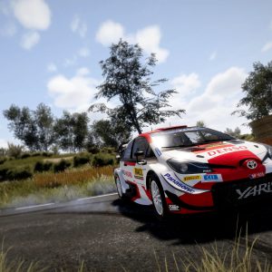 WRC 10
