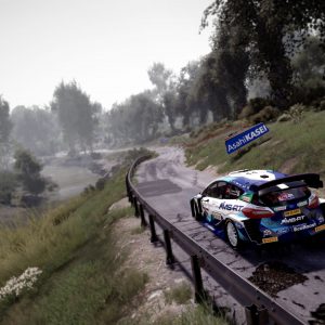 WRC 10