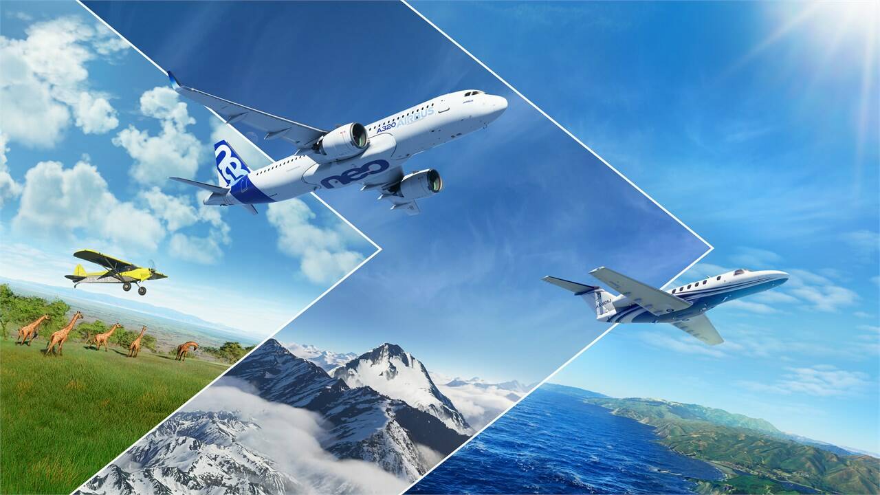 microsoft flight simulator