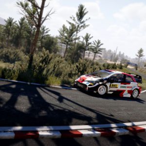 WRC 10