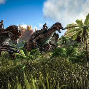 ARK