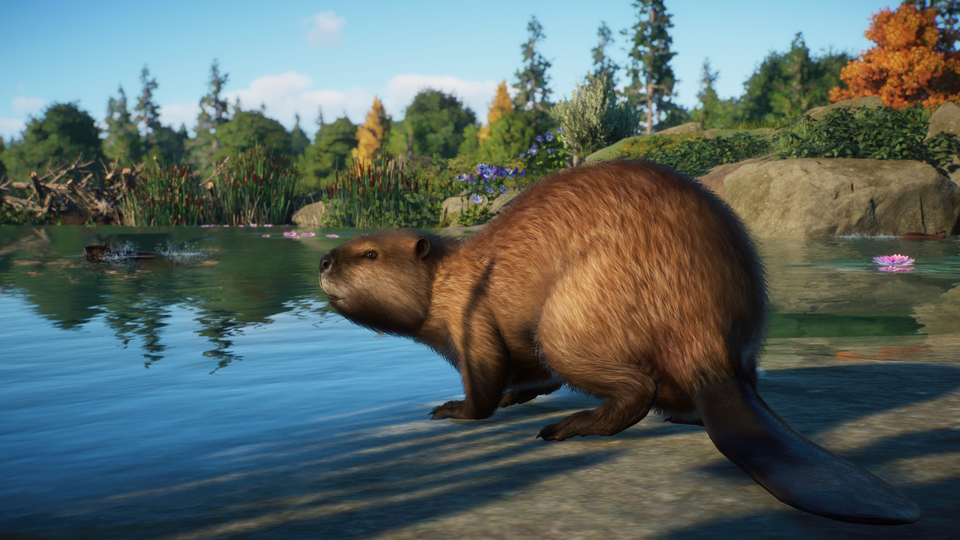 Planet Zoo