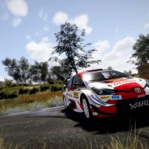 WRC 10