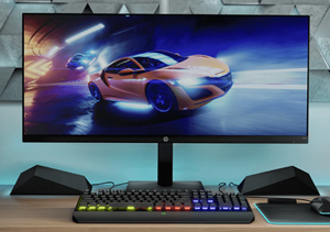 HP Gaming Monitor 2021