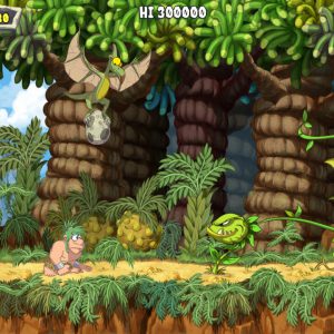 Joe & Mac Caveman Ninja