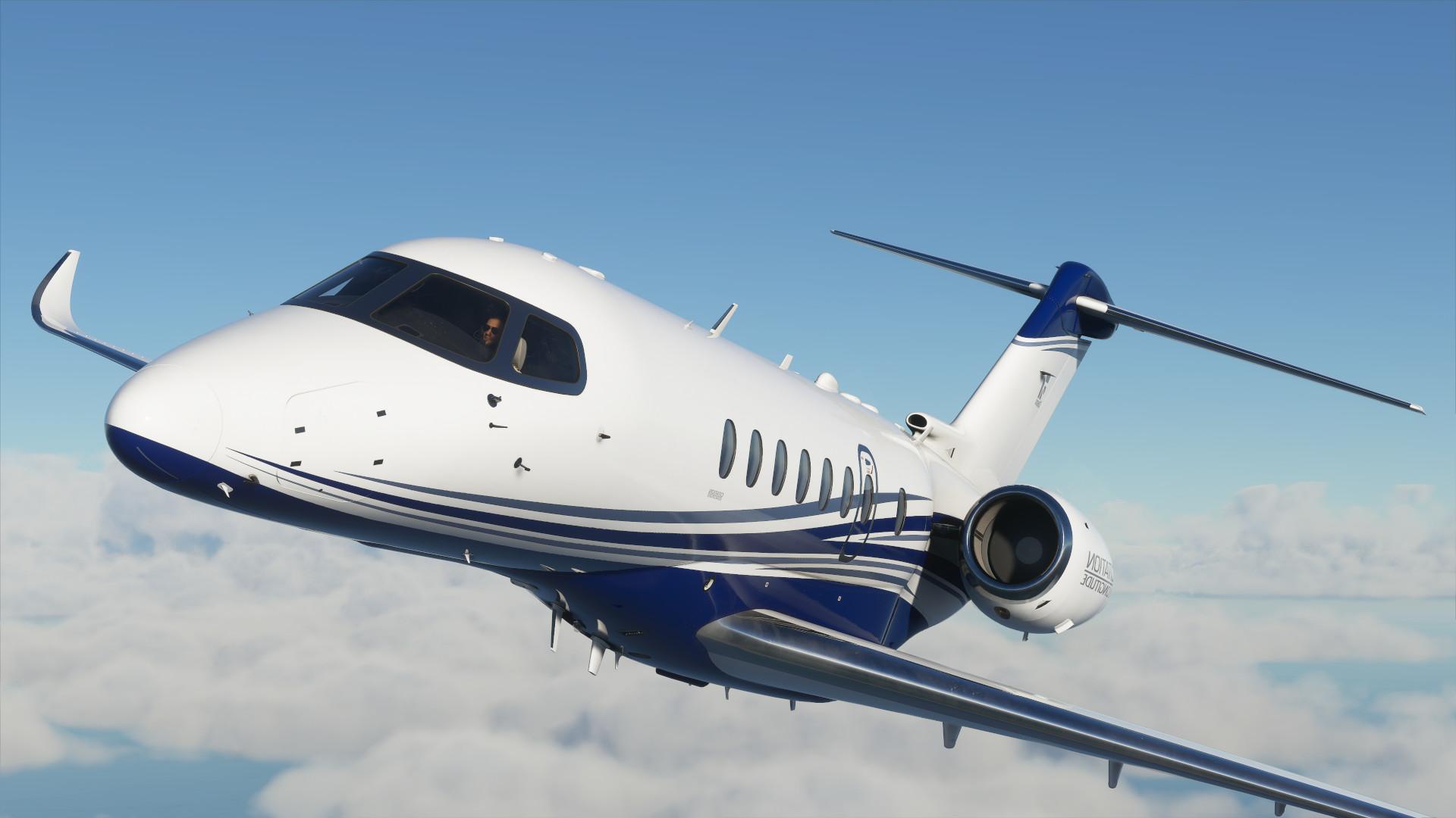 Microsoft Flight Simulator