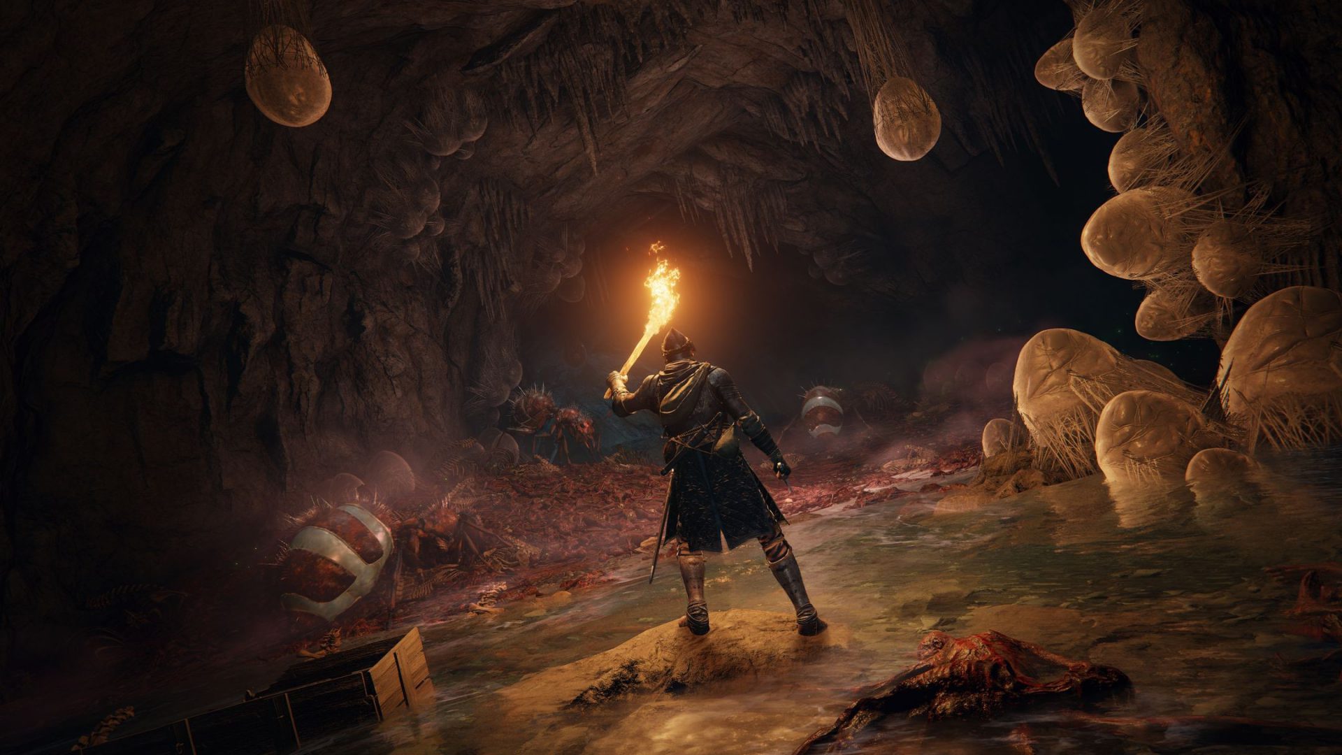 PlayStation Presents Play! Play! Play! Elden Ring