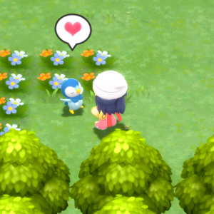 Pokémon