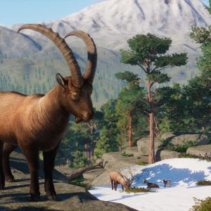 Planet Zoo