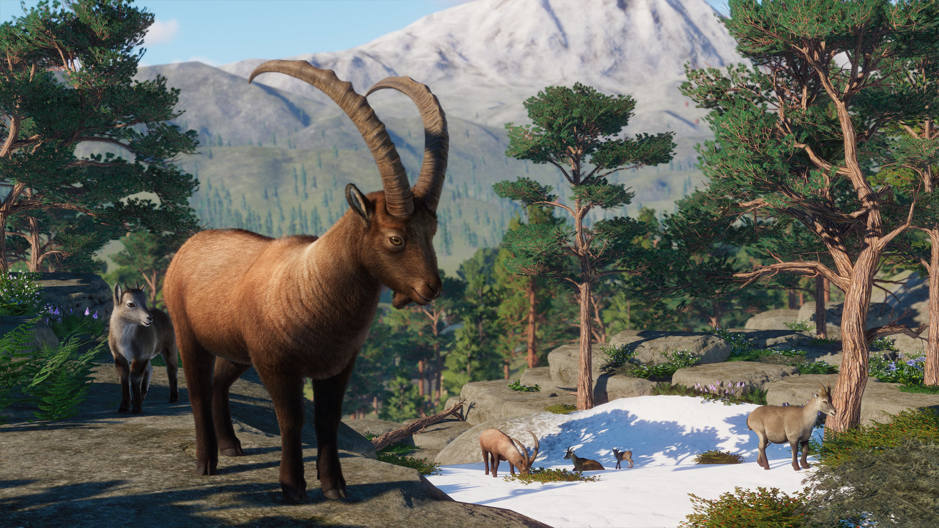 Planet Zoo