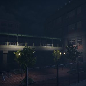 The Bridge Curse