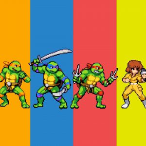 Teenage Mutant Ninja Turtles Shredders Revenge