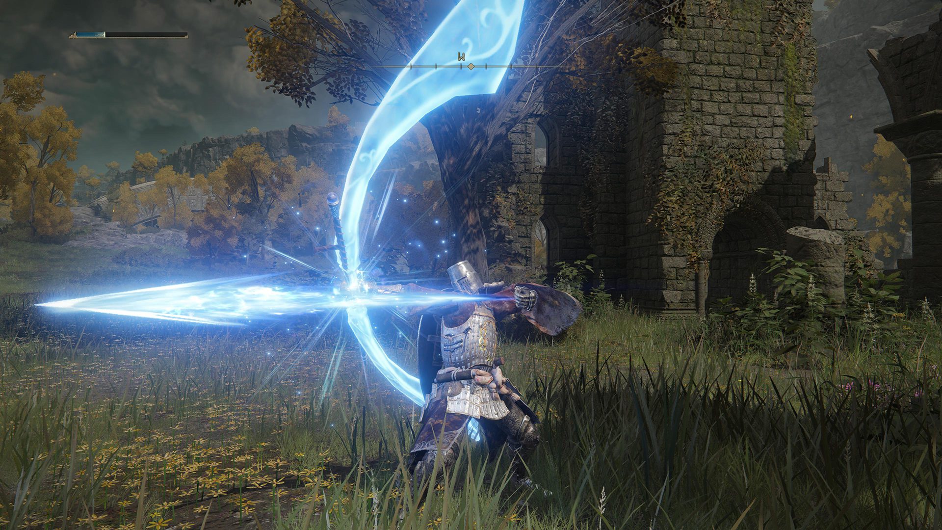 Elden Ring mago