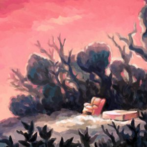 Furniture & Mattress